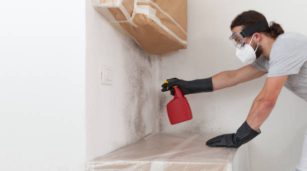 Professional Bathroom Mold Removal technician working in Groveland, MA