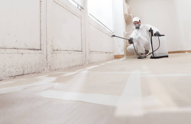 24/7 Emergency Bathroom Mold Removal experts in Groveland, MA