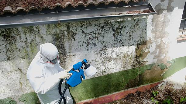 Top rated local Bathroom Mold Removal specialists in Groveland, MA